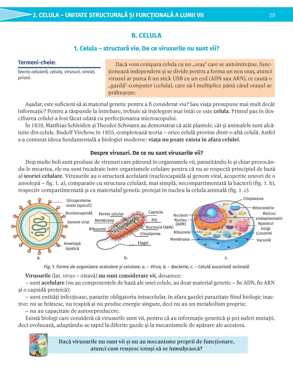 Pagina 20