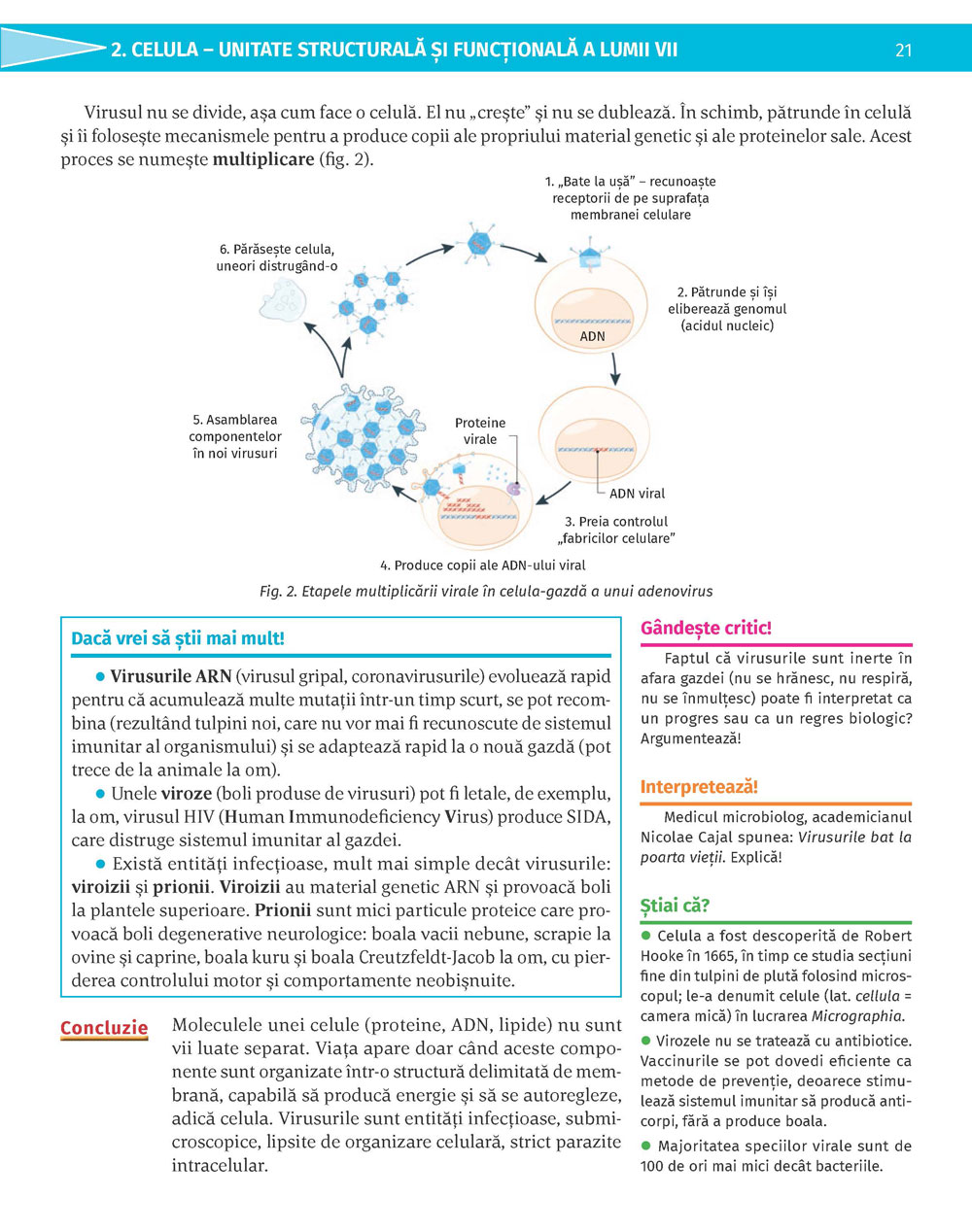 Pagina 21
