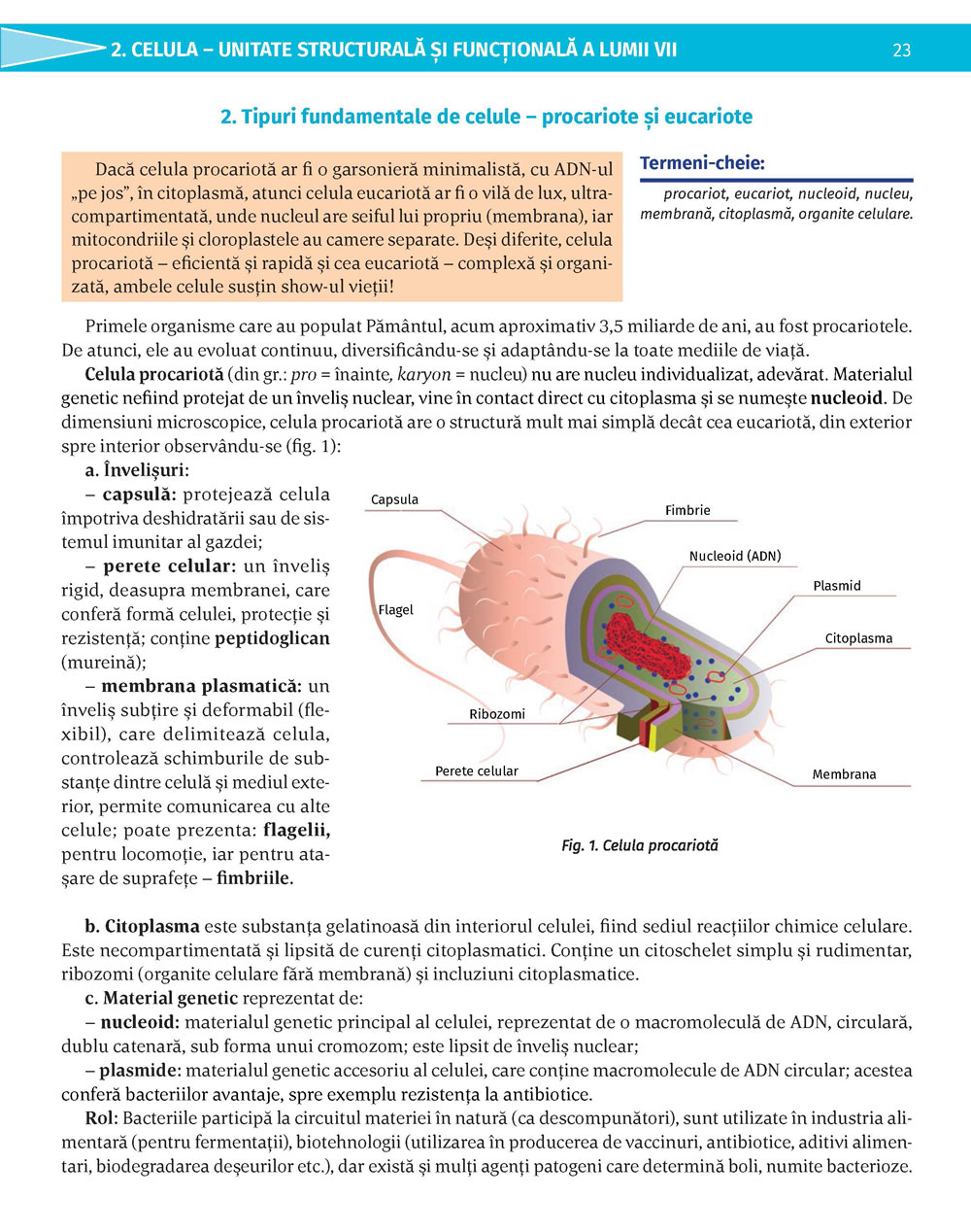 Pagina 23