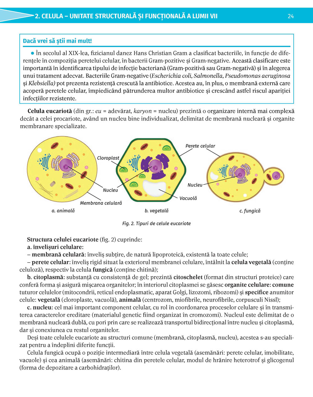 Pagina 24