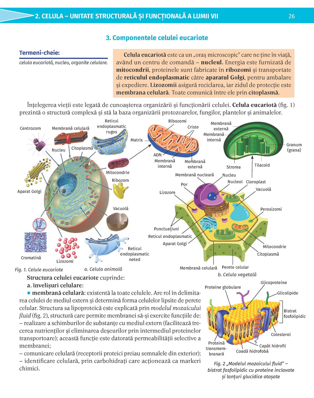 Pagina 26