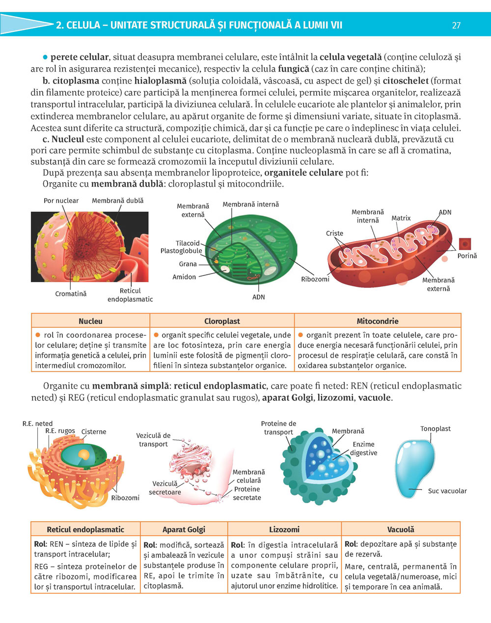 Pagina 27