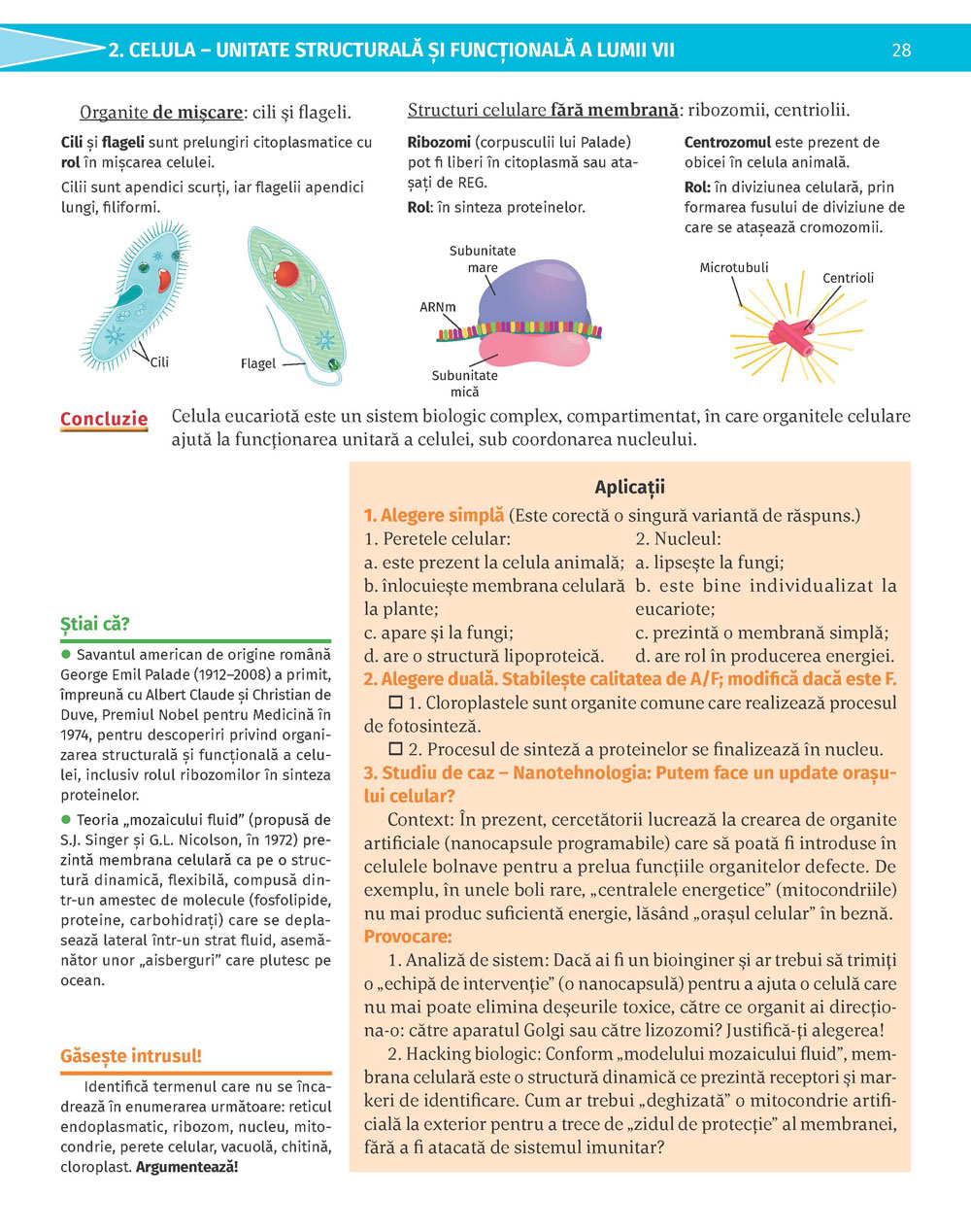 Pagina 28