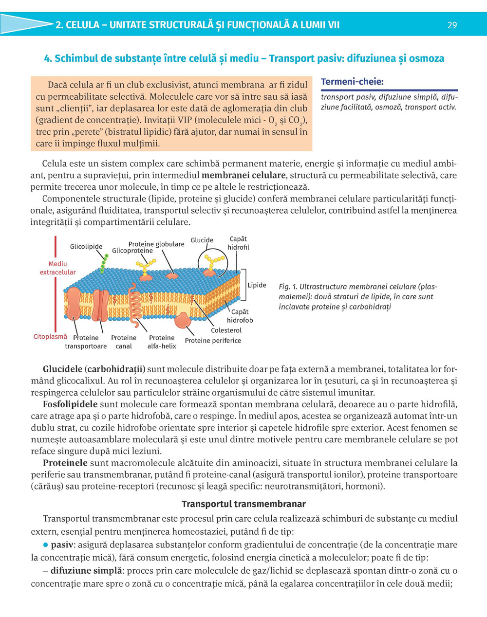 Pagina 29