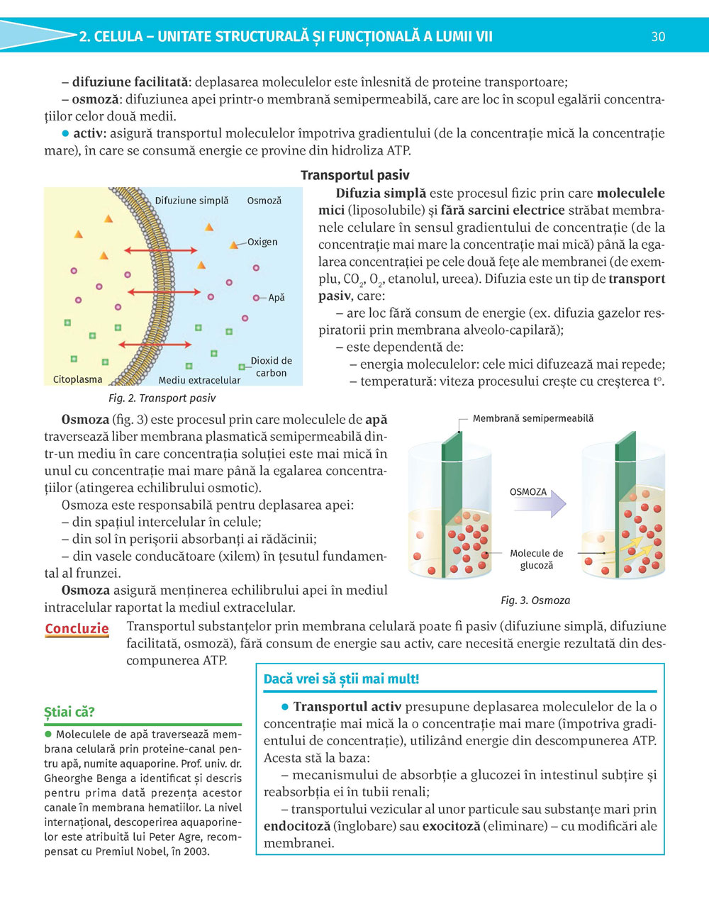 Pagina 30
