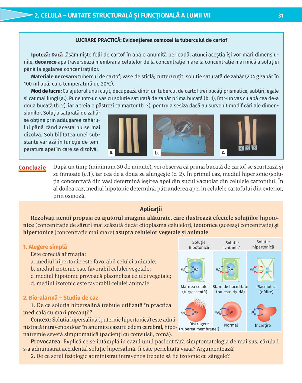 Pagina 31
