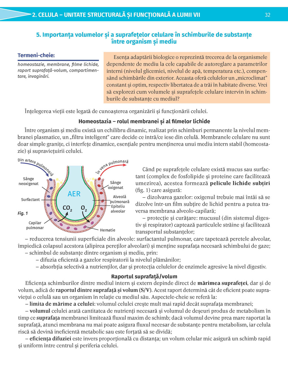 Pagina 32