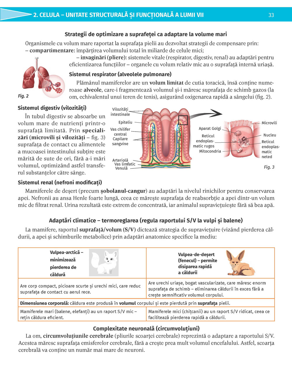 Pagina 33