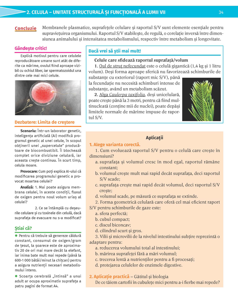 Pagina 34
