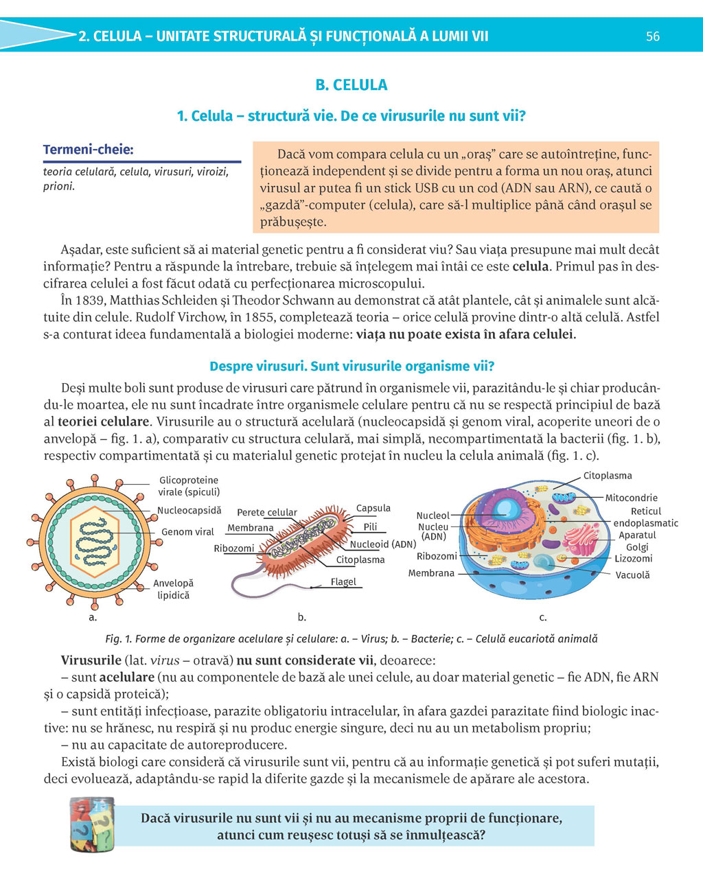 Pagina 56