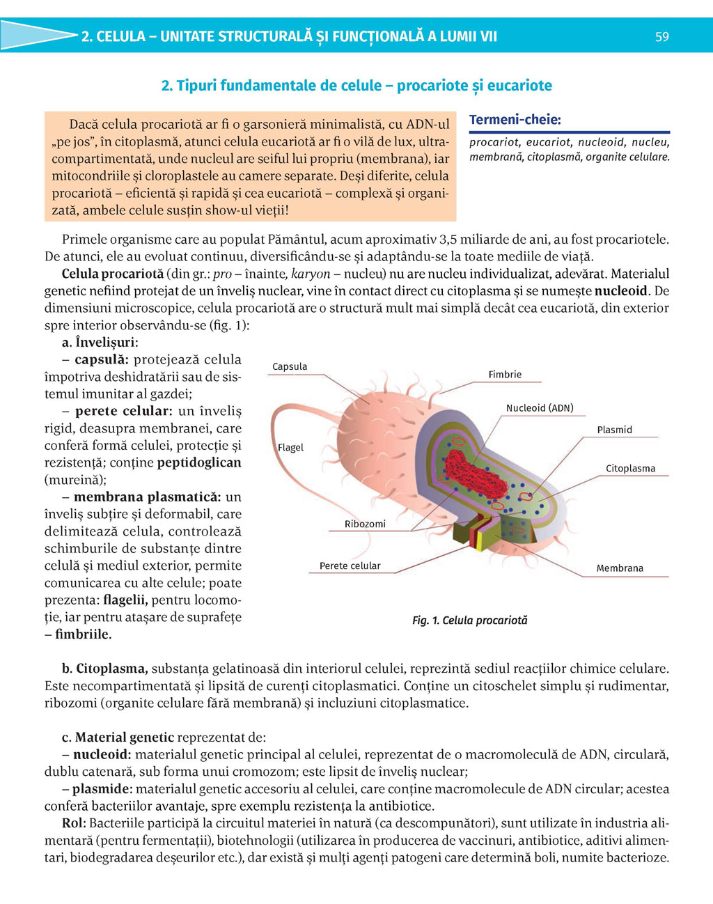 Pagina 59