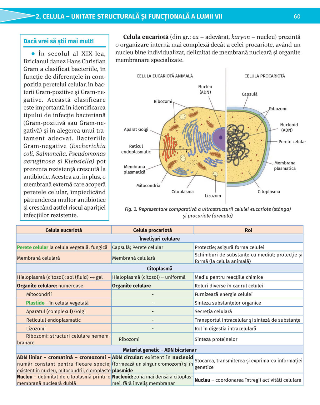 Pagina 60