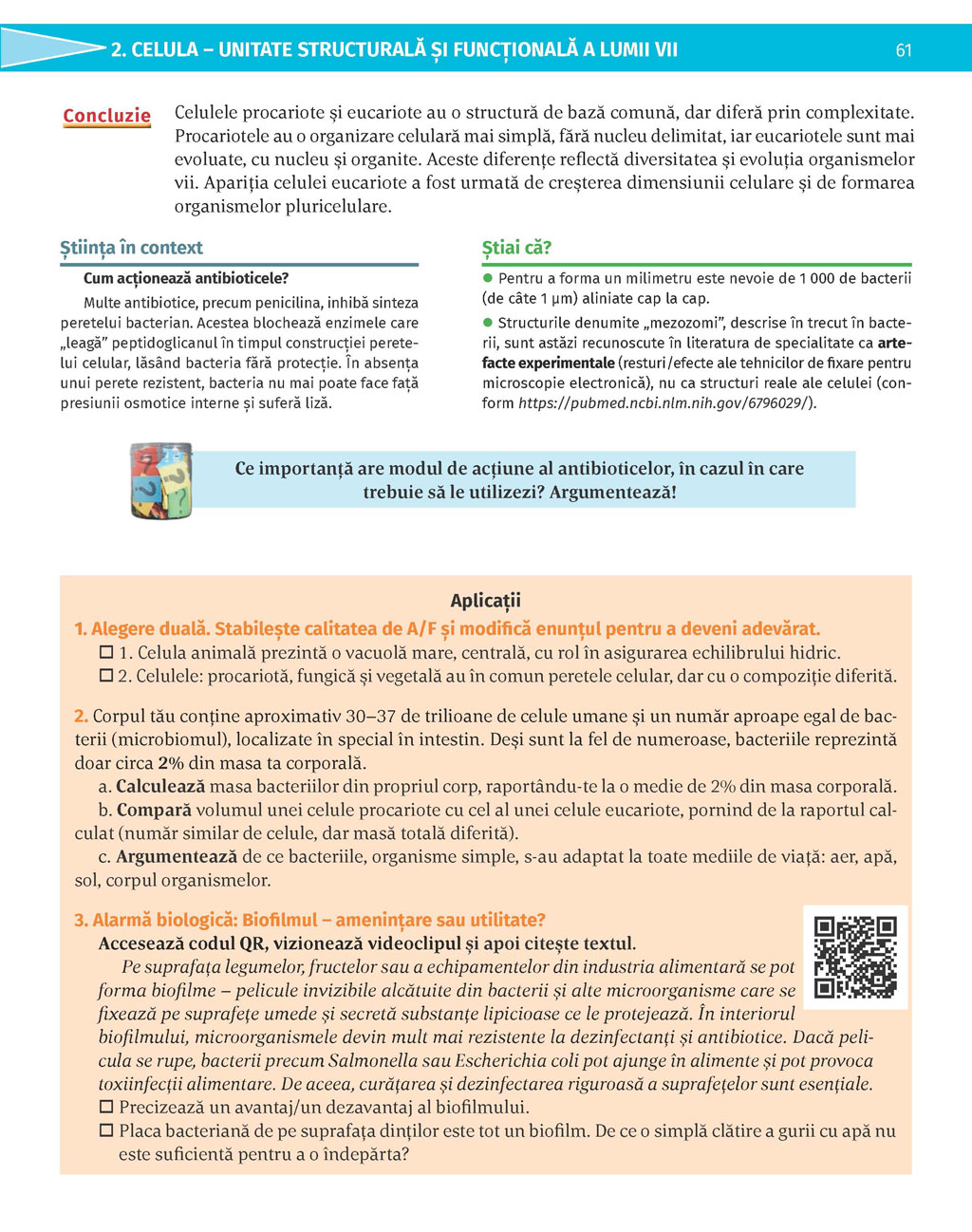 Pagina 61