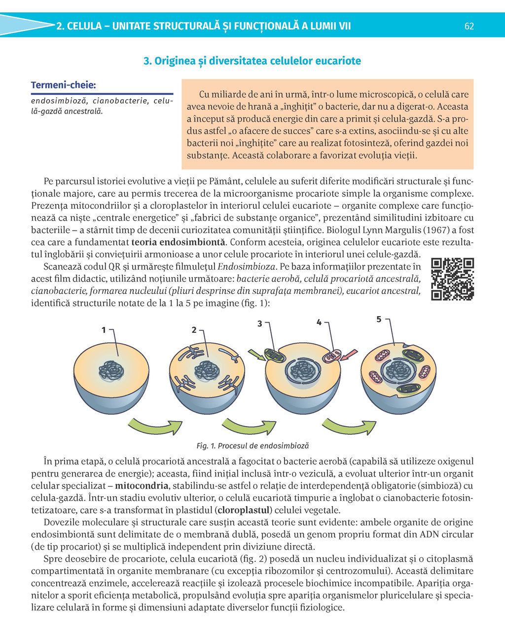 Pagina 62