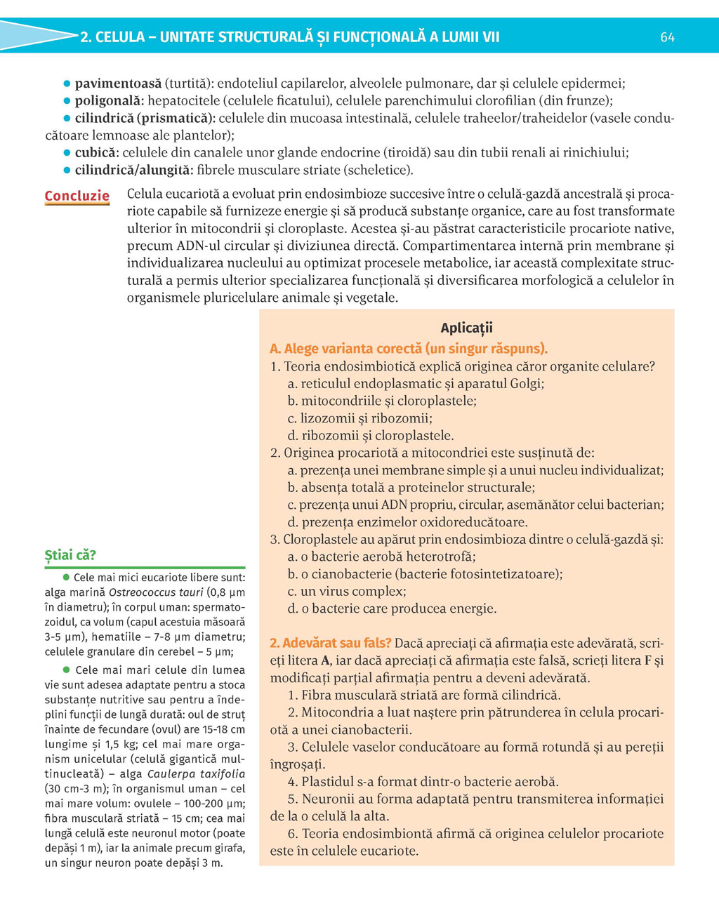 Pagina 64