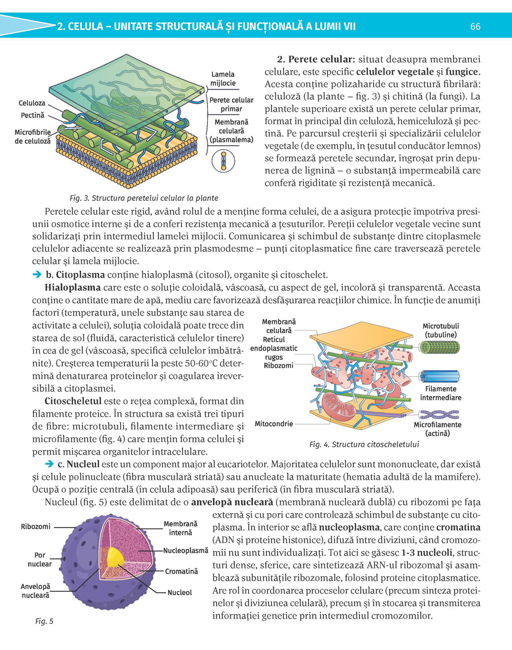 Pagina 66