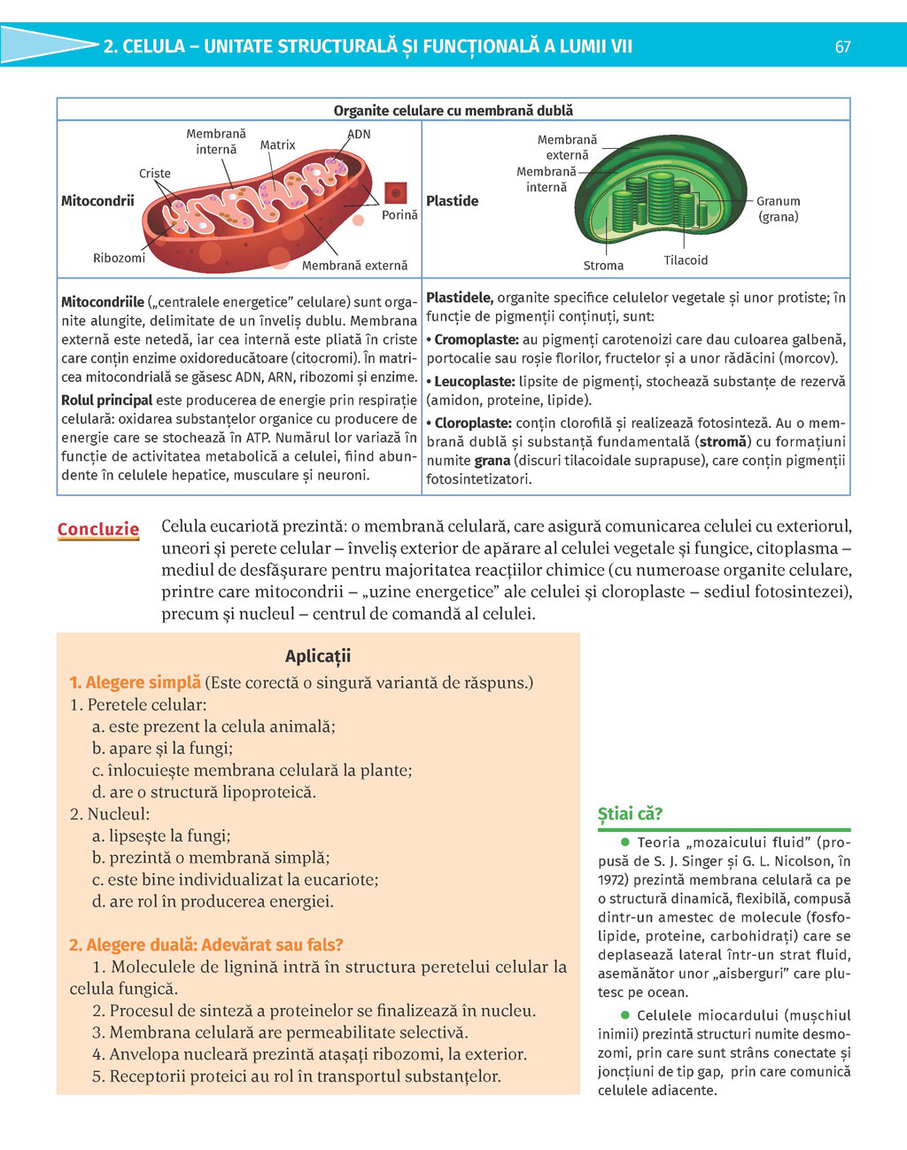 Pagina 67