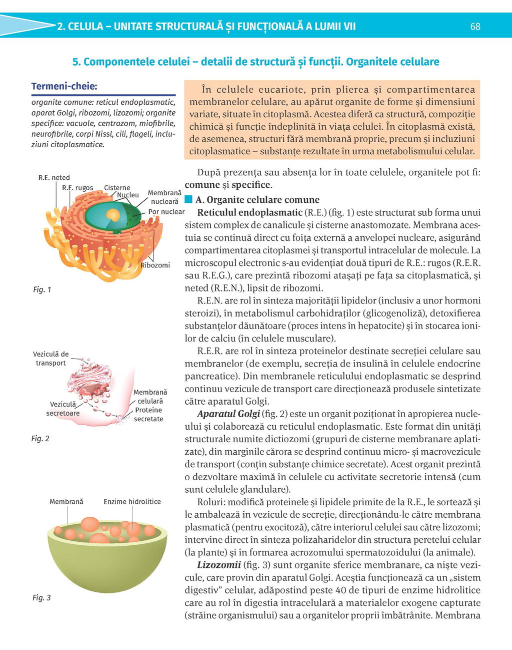 Pagina 68