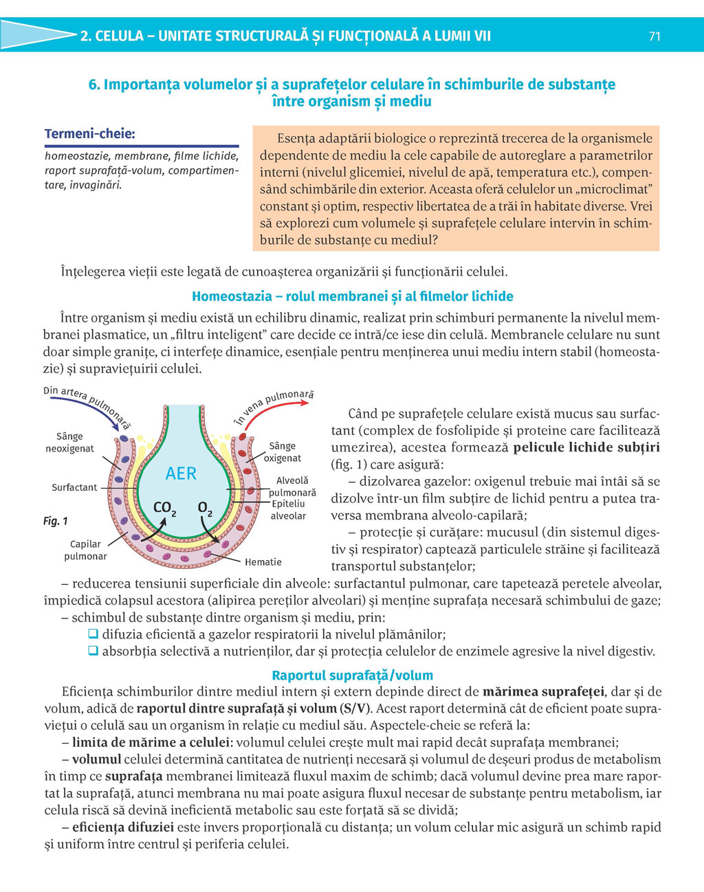 Pagina 71
