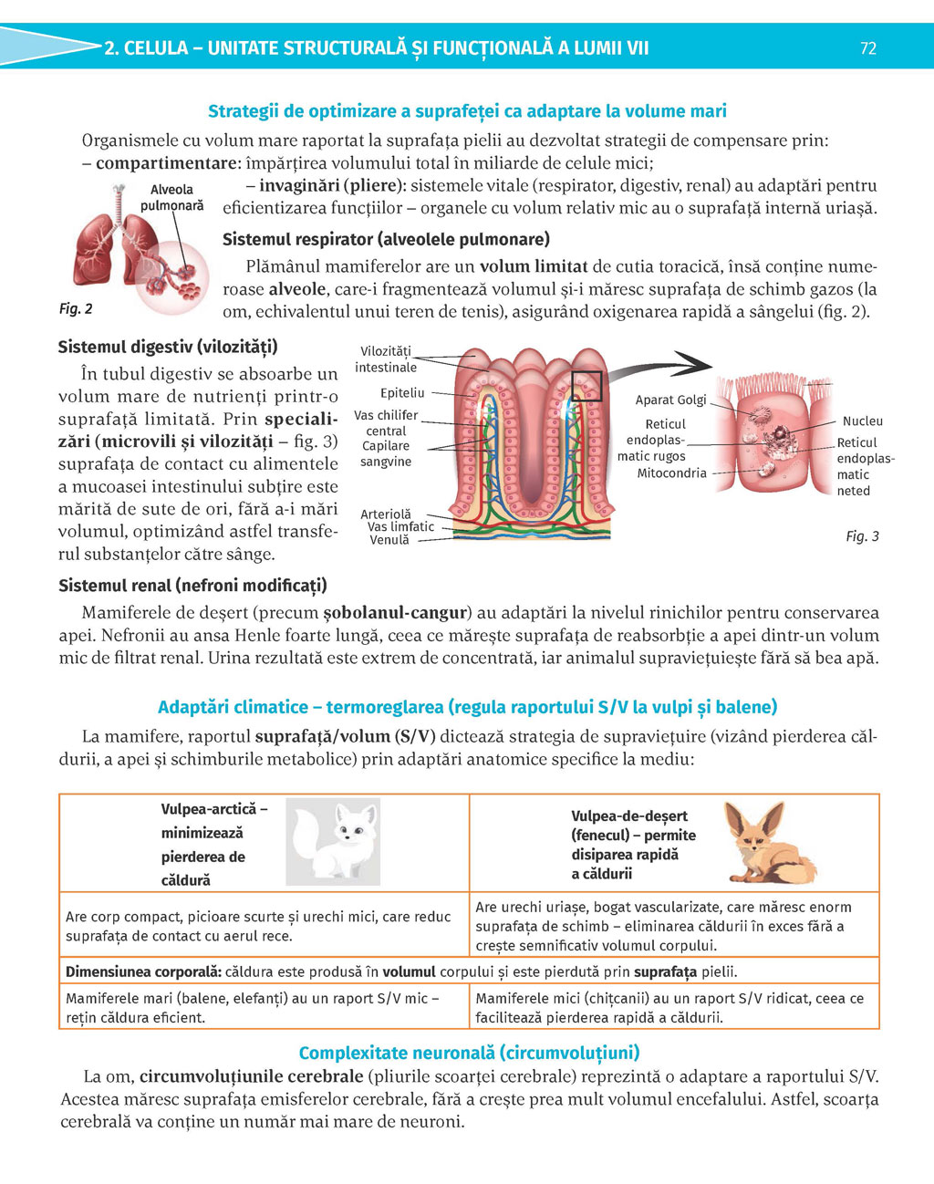 Pagina 72