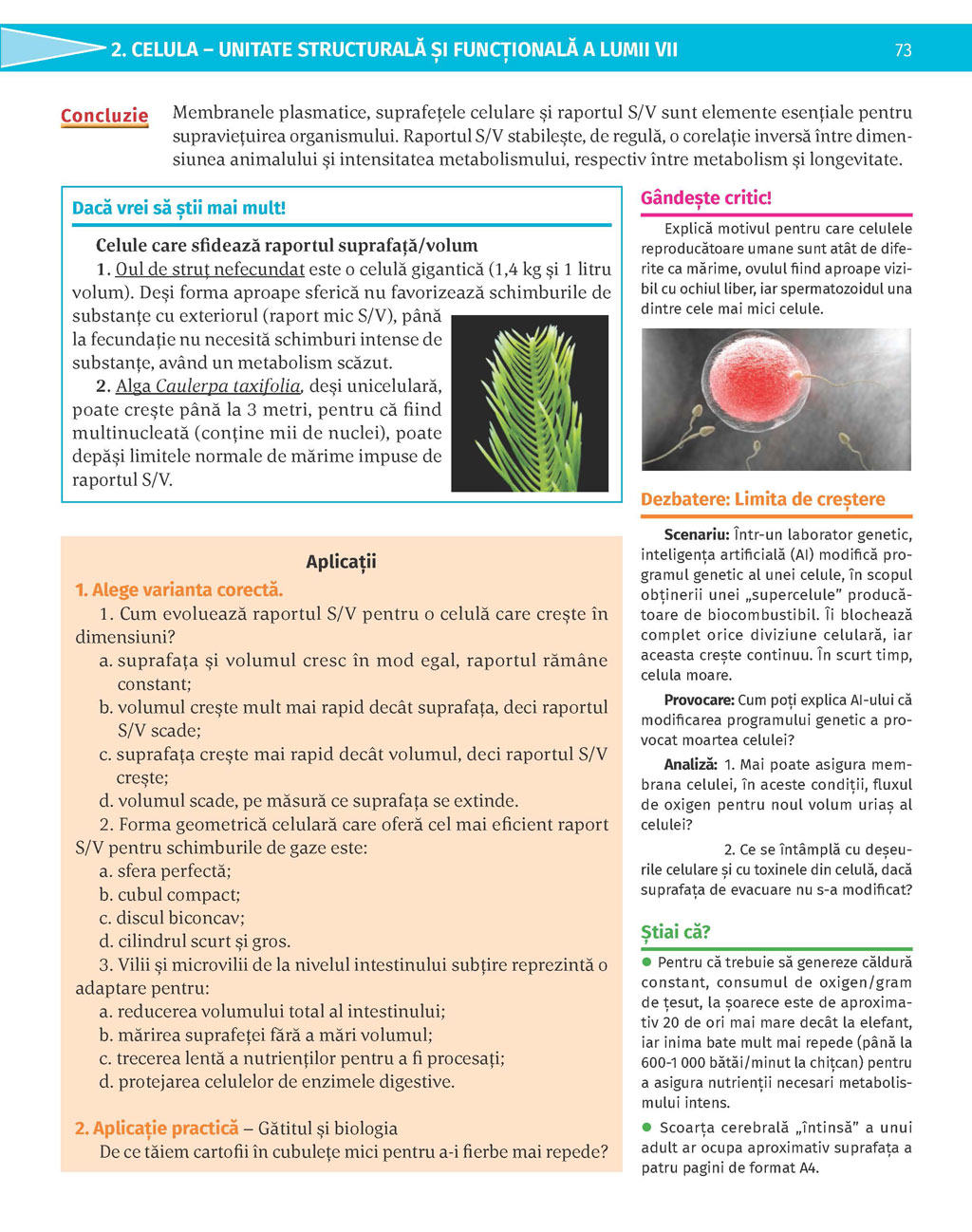 Pagina 73