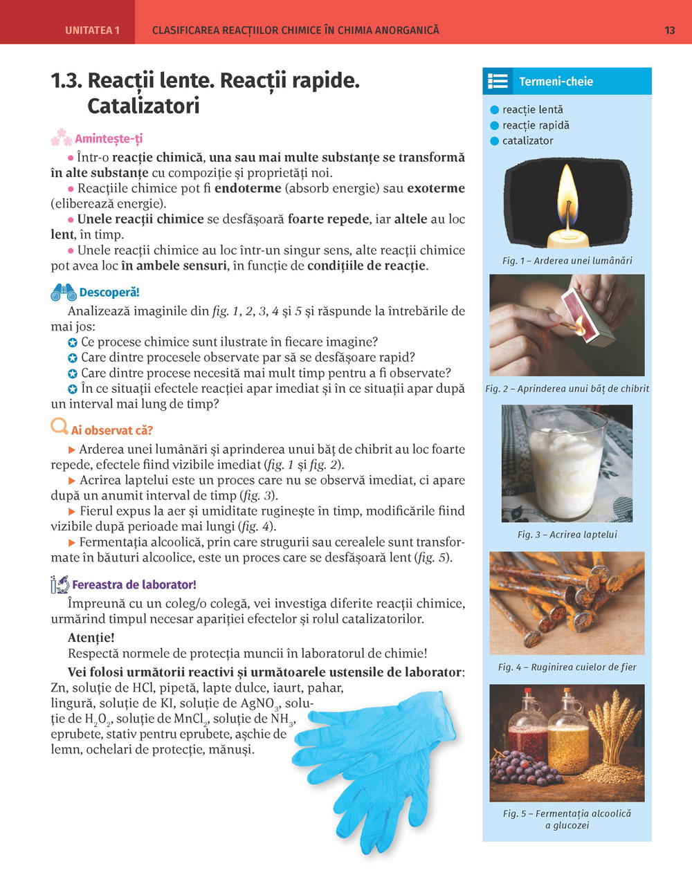 Pagina 13
