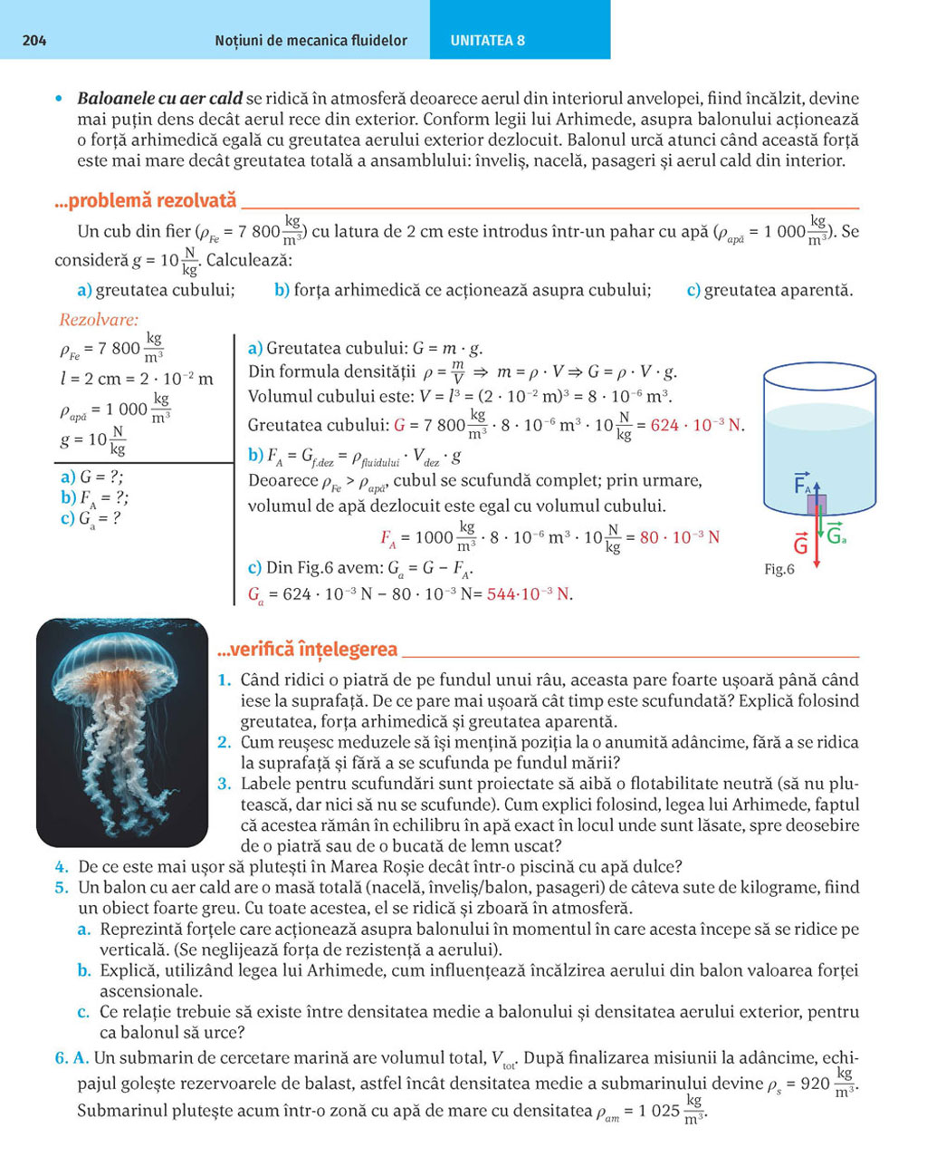 Pagina 204