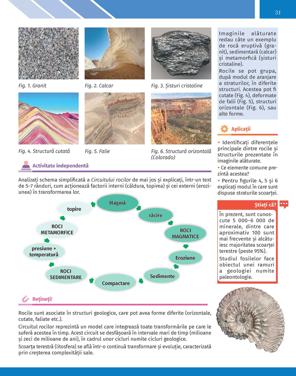 Pagina 31