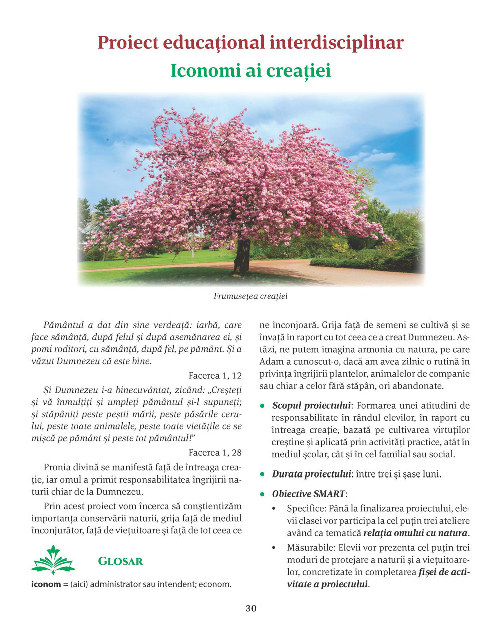 Pagina 30