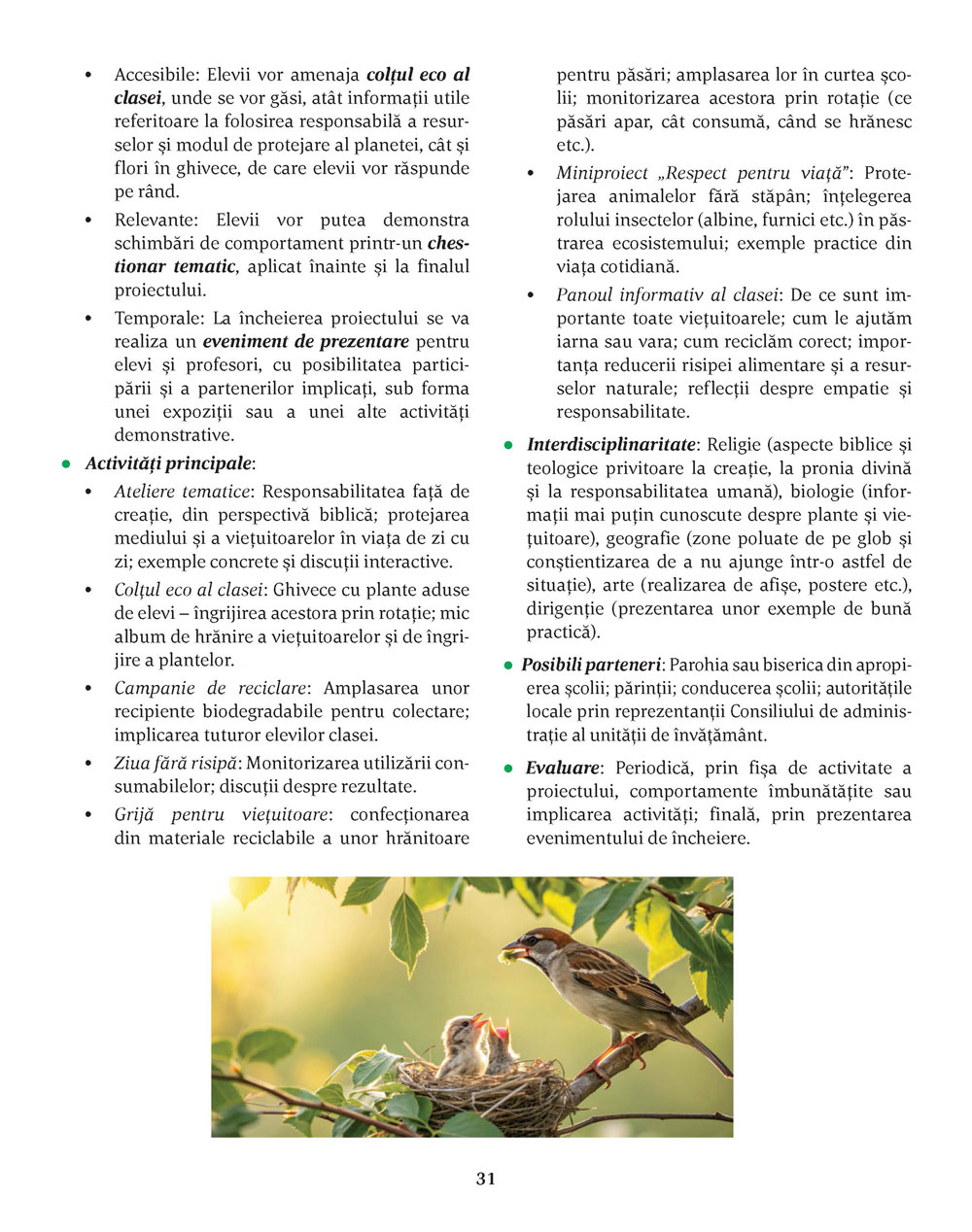 Pagina 31