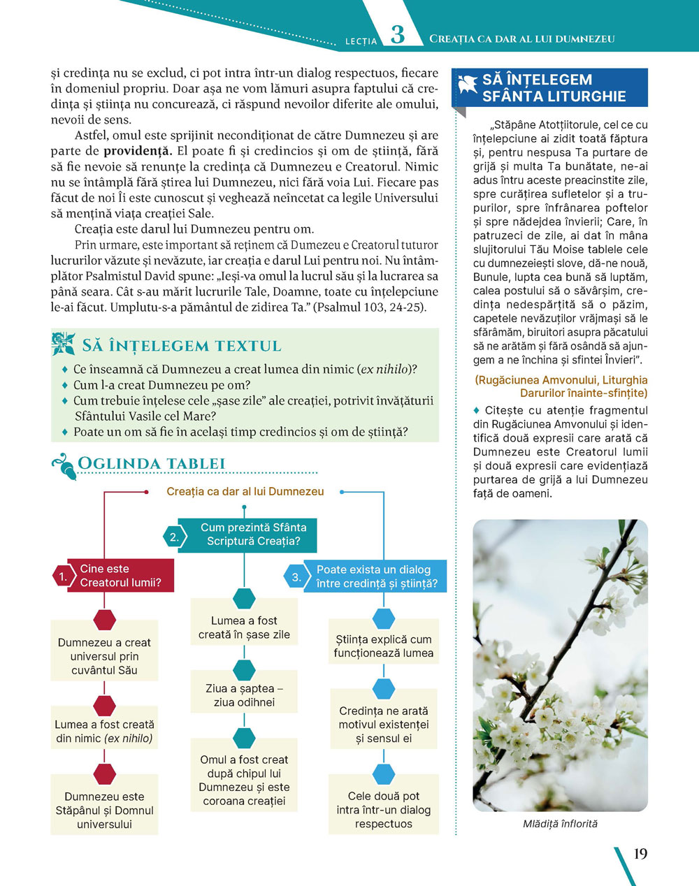 Pagina 19