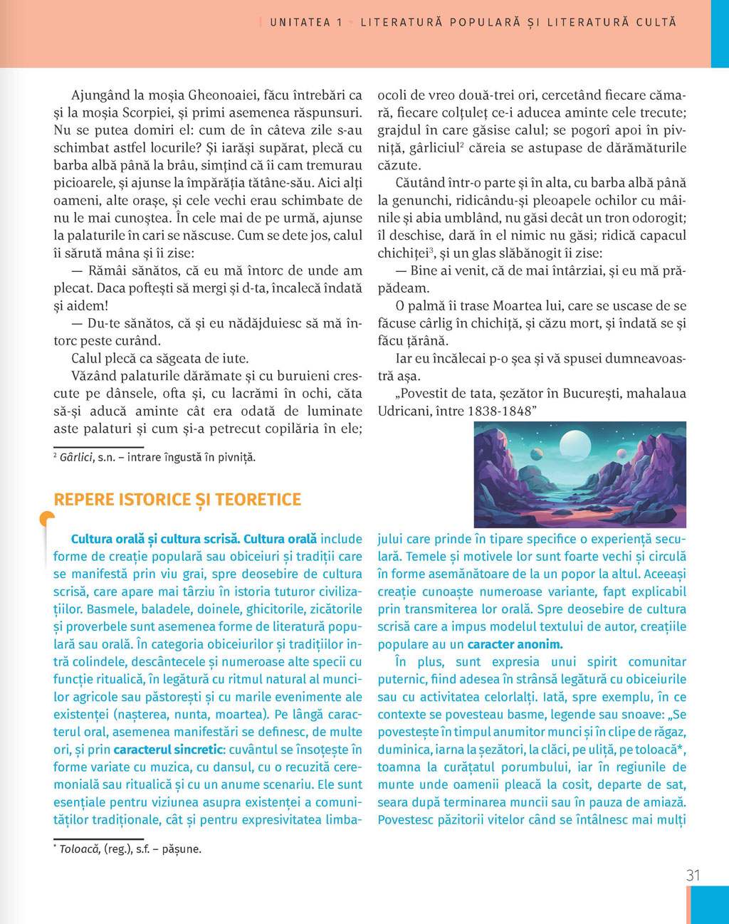 pagina 31