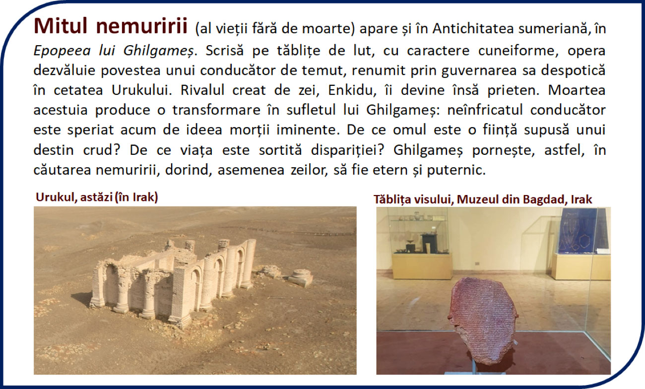 amii_static_pagina_40_1